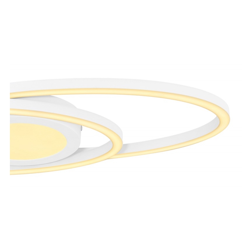 Globo - LED Deckenleuchte LED/24W/230V
