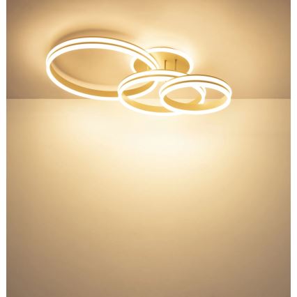 Globo - LED-dimmbare Deckenleuchte LED/72W/230V 3000K 79,5x50 cm