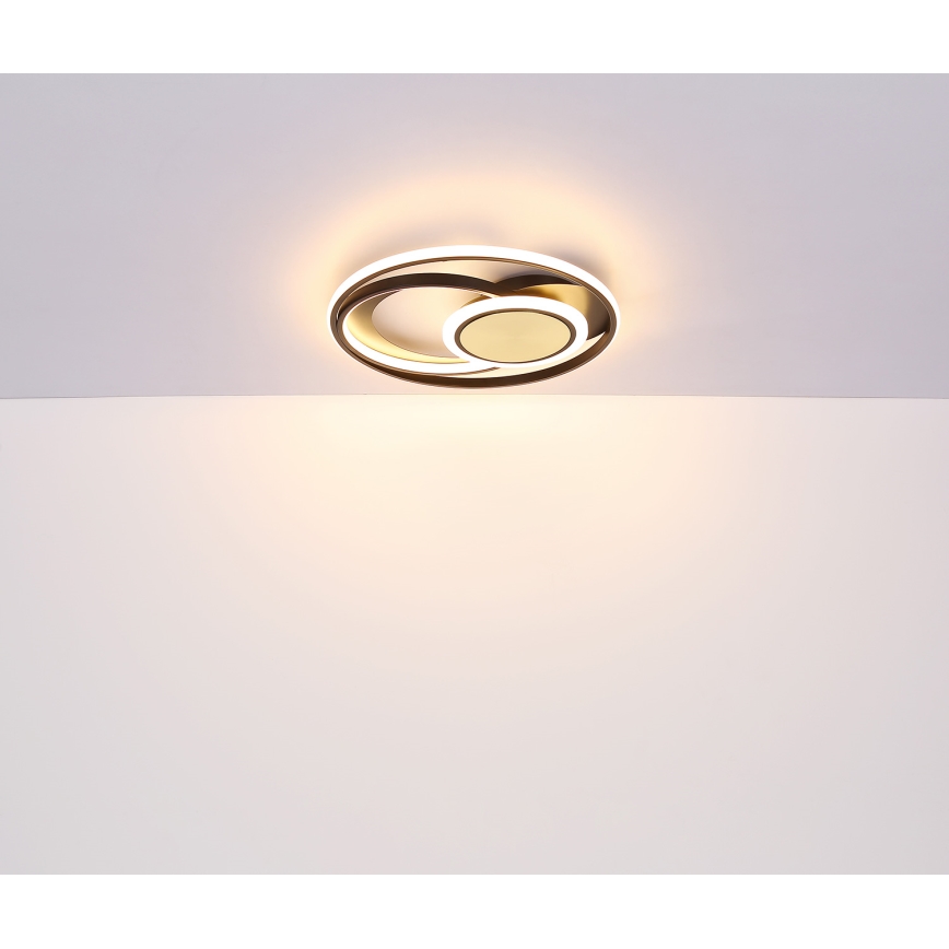 Globo - LED-Deckenleuchte LED/24W/230V