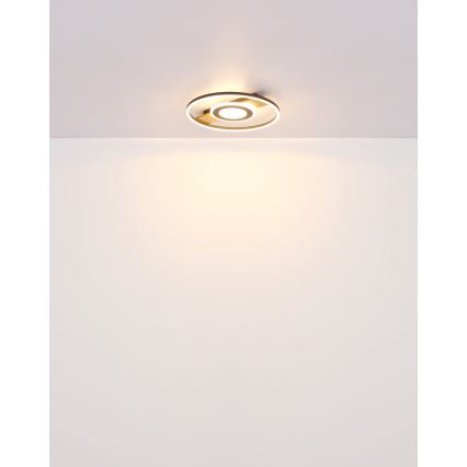 Globo - LED-Deckenleuchte LED/24W/230V
