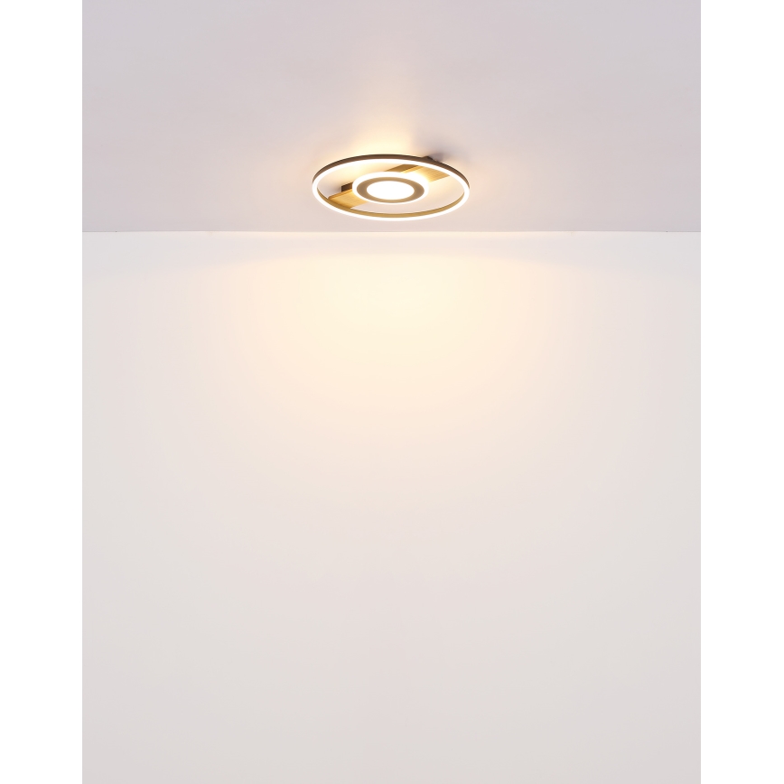 Globo - LED-Deckenleuchte LED/24W/230V
