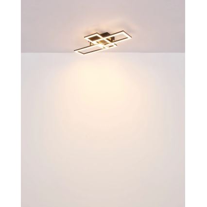 Globo - LED-Deckenleuchte LED/24W/230V