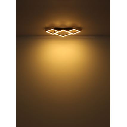 Globo - LED-Deckenleuchte LED/24W/230V
