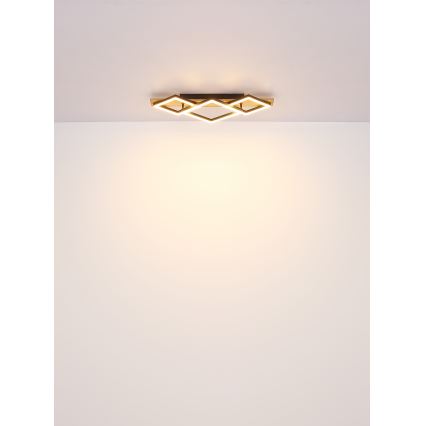 Globo - LED-Deckenleuchte LED/24W/230V