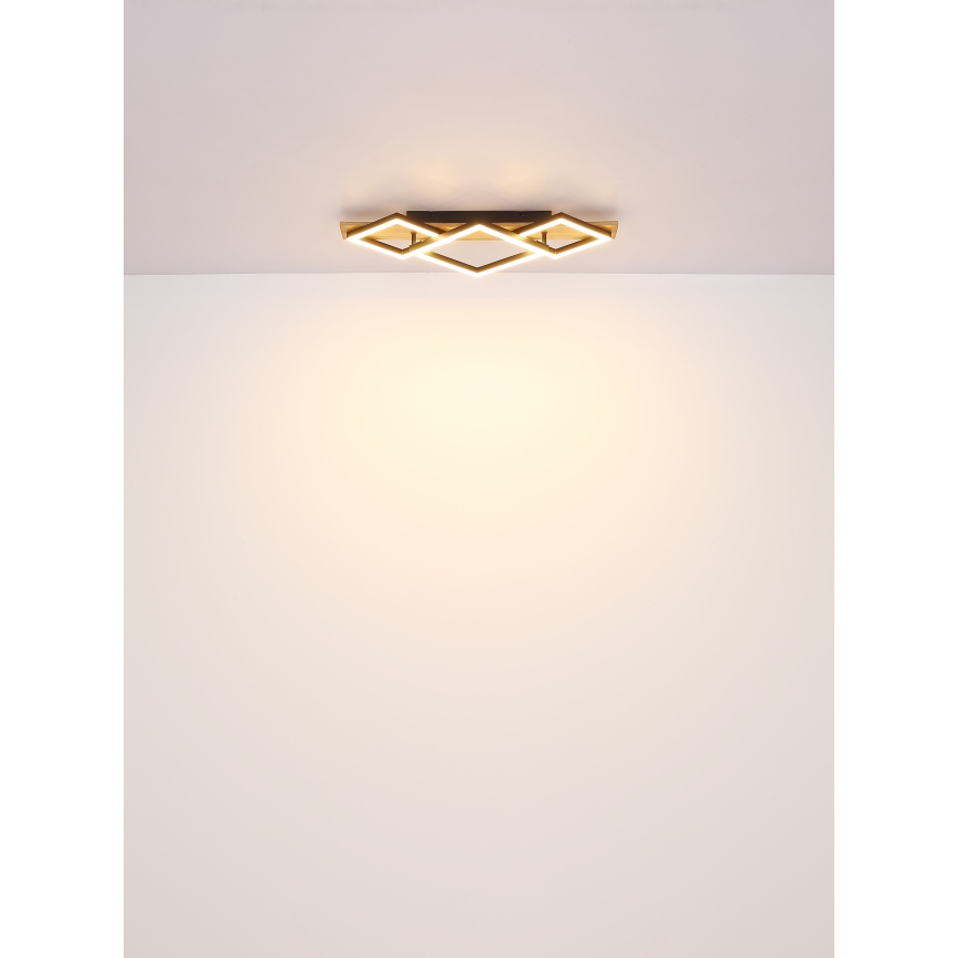 Globo - LED-Deckenleuchte LED/24W/230V