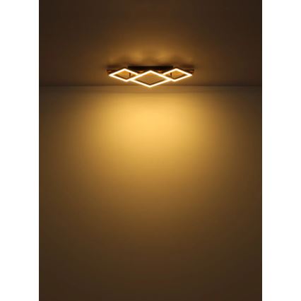 Globo - LED-Deckenleuchte LED/24W/230V