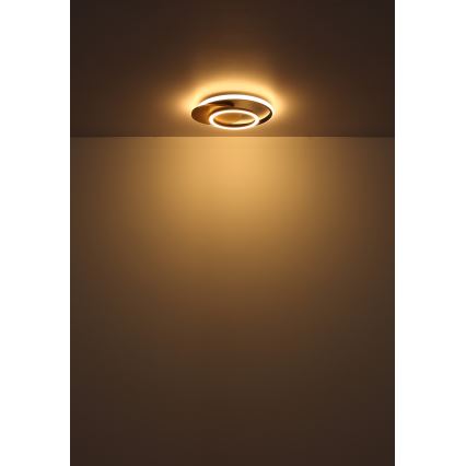 Globo - LED-Deckenleuchte LED/24W/230V schwarz