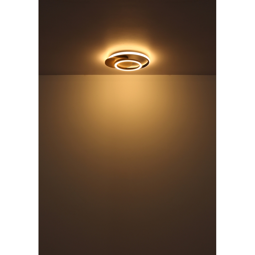 Globo - LED-Deckenleuchte LED/24W/230V schwarz