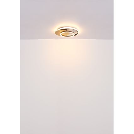 Globo - LED-Deckenleuchte LED/24W/230V schwarz