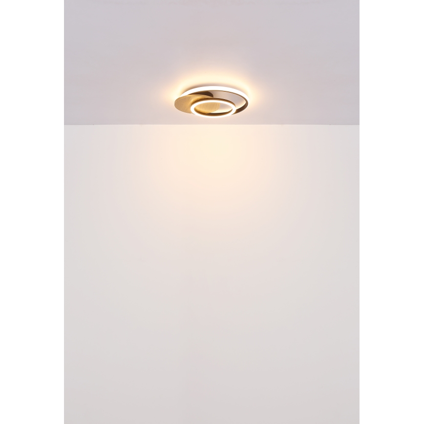 Globo - LED-Deckenleuchte LED/24W/230V schwarz