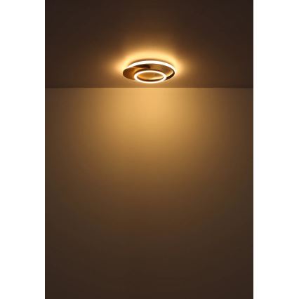 Globo - LED-Deckenleuchte LED/24W/230V