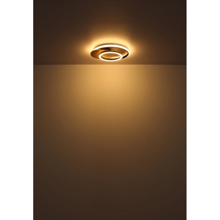 Globo - LED-Deckenleuchte LED/24W/230V