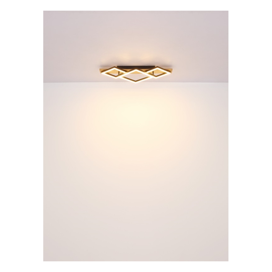 Globo - LED Deckenleuchte LED/32W/230V 3000K 31x61cm