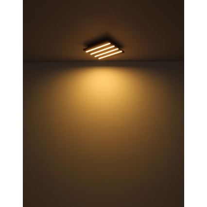 Globo - LED-Deckenleuchte LED/15W/230V 3000K 30x30 cm