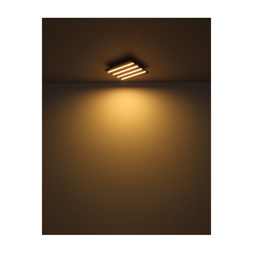 Globo - LED-Deckenleuchte LED/15W/230V 3000K 30x30 cm