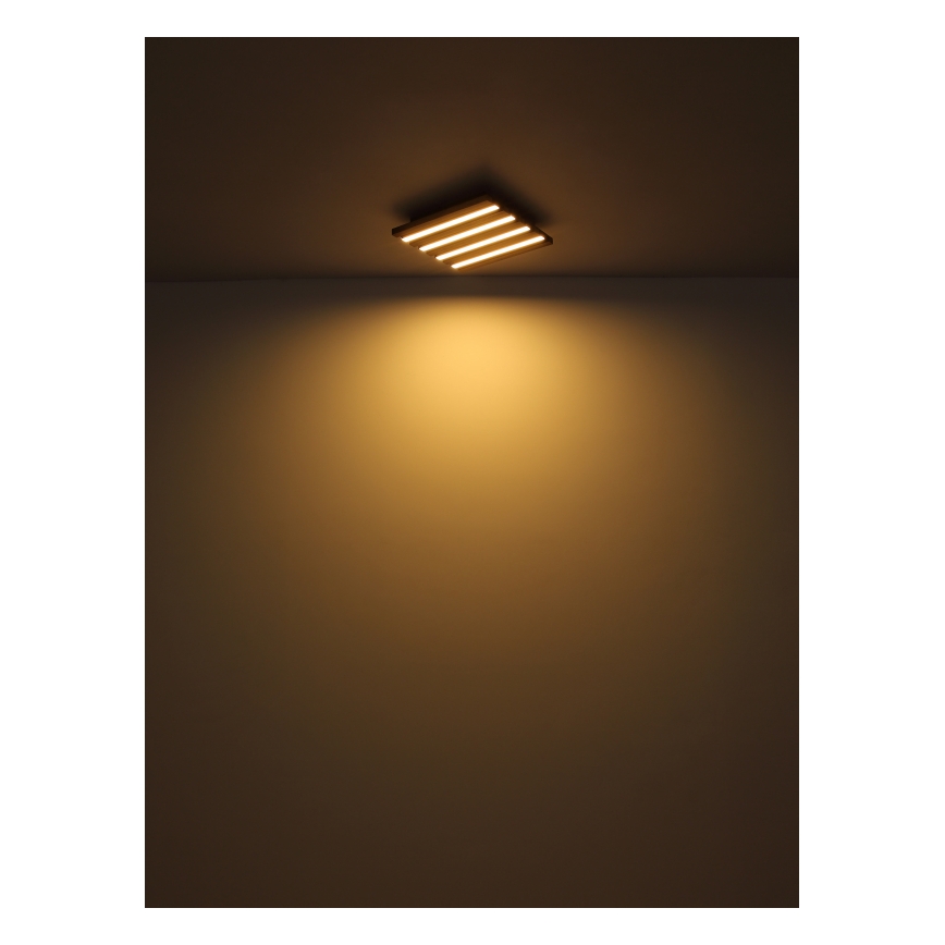 Globo - LED-Deckenleuchte LED/30W/230V 3000K 80x20 cm