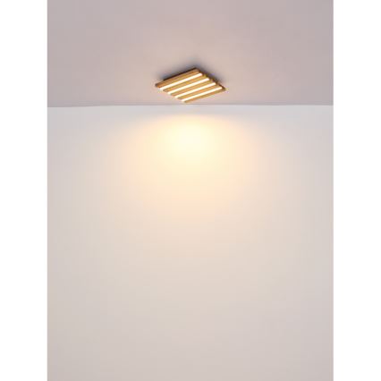 Globo - LED-Deckenleuchte LED/30W/230V 3000K 80x20 cm
