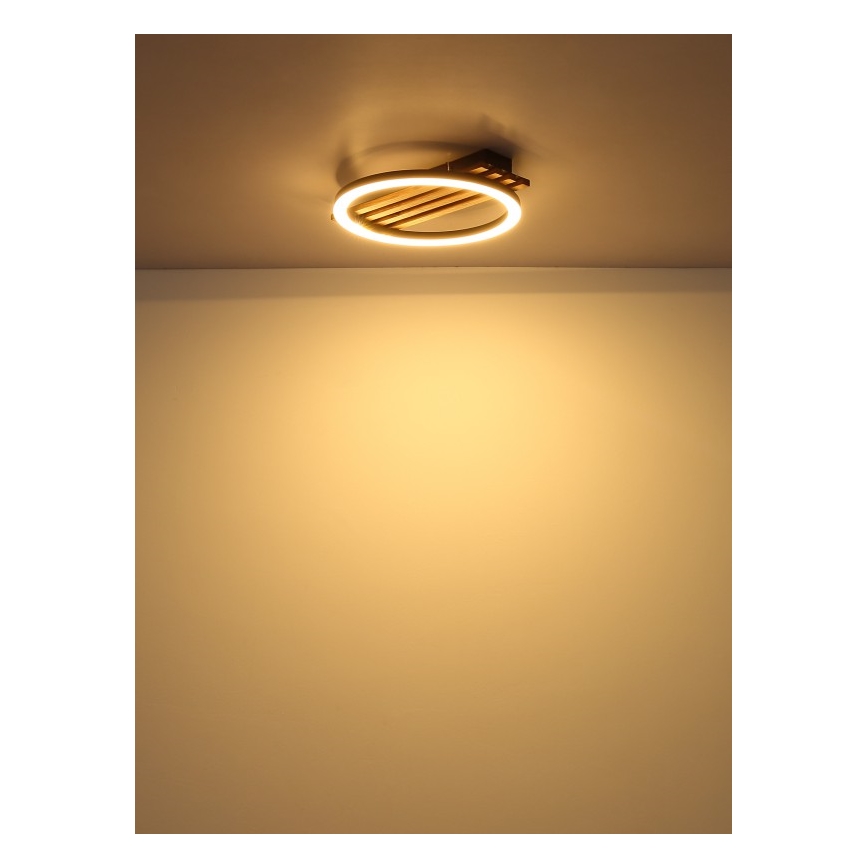 Globo - LED-Deckenleuchte LED/12W/230V 3000K 30x34 cm