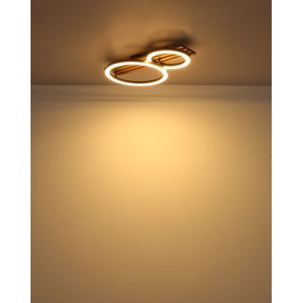 Globo - LED-Deckenleuchte LED/18W/230V 3000K 30x48 cm