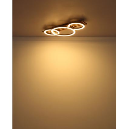 Globo - LED-Deckenleuchte LED/24W/230V 3000K 30x62 cm