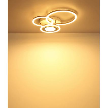 Globo - LED-Deckenleuchte LED/40W/230V 3000K 49x39 cm