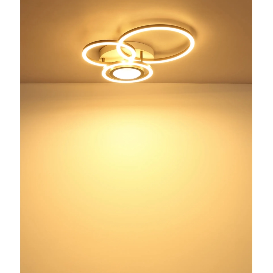 Globo - LED-Deckenleuchte LED/40W/230V 3000K 49x39 cm