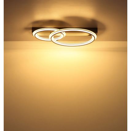 Globo - LED-Deckenleuchte LED/30W/230V 3000K 33x45 cm