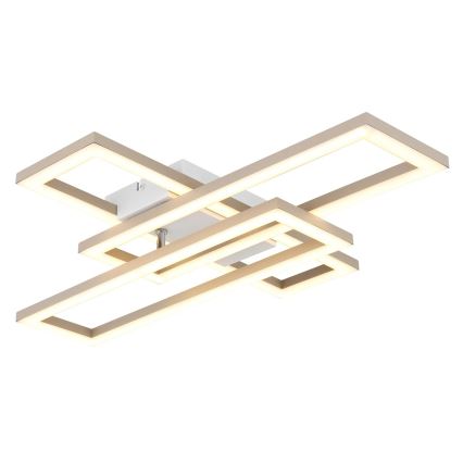 Globo - LED-Deckenleuchte LED/24W/230V 3000/4000/6000K