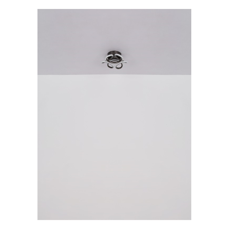 Globo - LED Deckenleuchte LED/24W/230V 2700/4000/6000K Ø 26 cm schwarz