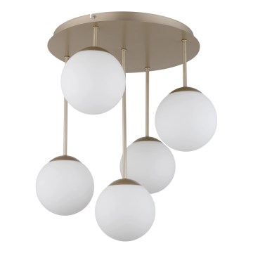 Globo - Aufgesetzte Deckenleuchte 5xE14/25W/230V Messing