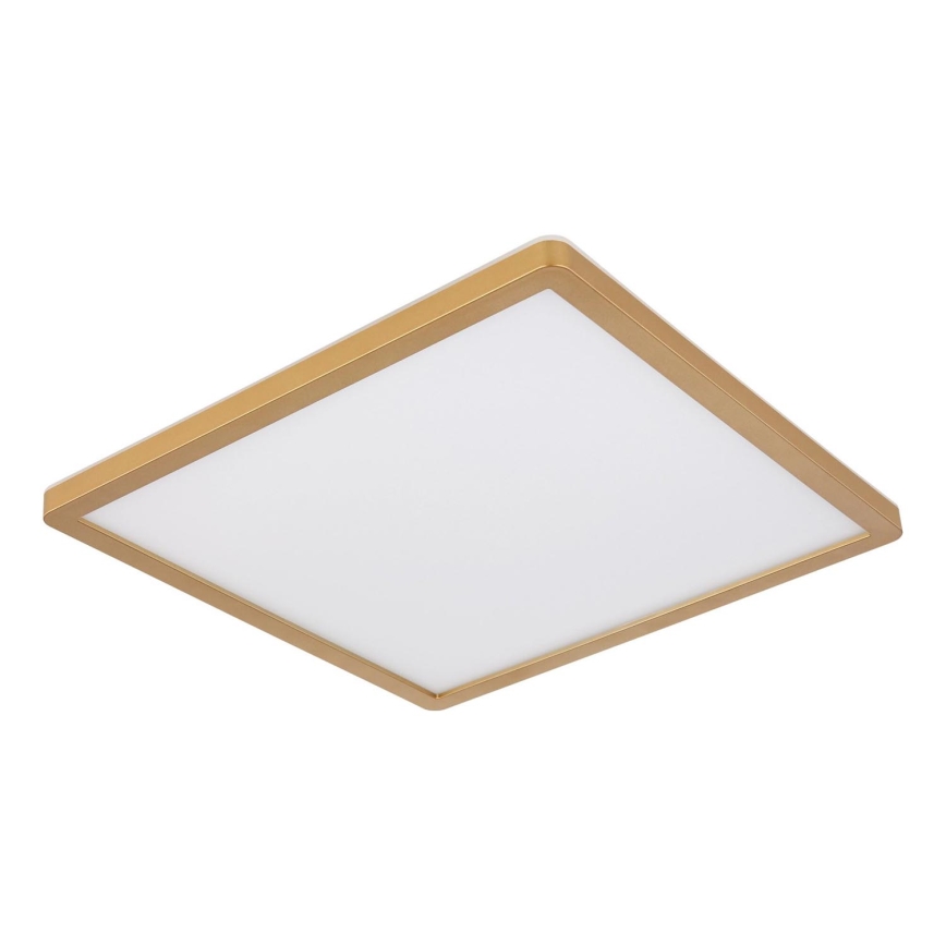 Globo - Dimmbare LED-Deckenleuchte für Badezimmer LED/24W/230V 3000K IP44 42x42 cm Messing