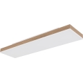 Globo - Dimmbare LED-Deckenleuchte LED/24W/230V 2700-6500K 20x80 cm + Fernbedienung