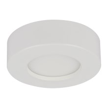 GLOBO - Dimmbare LED-Leuchte für das Badezimmer LED/9W/230V IP44