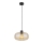 Globo - Hängeleuchte 1xE27/40W/230V d 28 cm klar