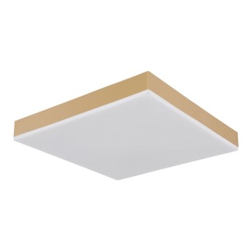 Globo - LED-Deckenleuchte LED/18W/230V 30x30 cm golden