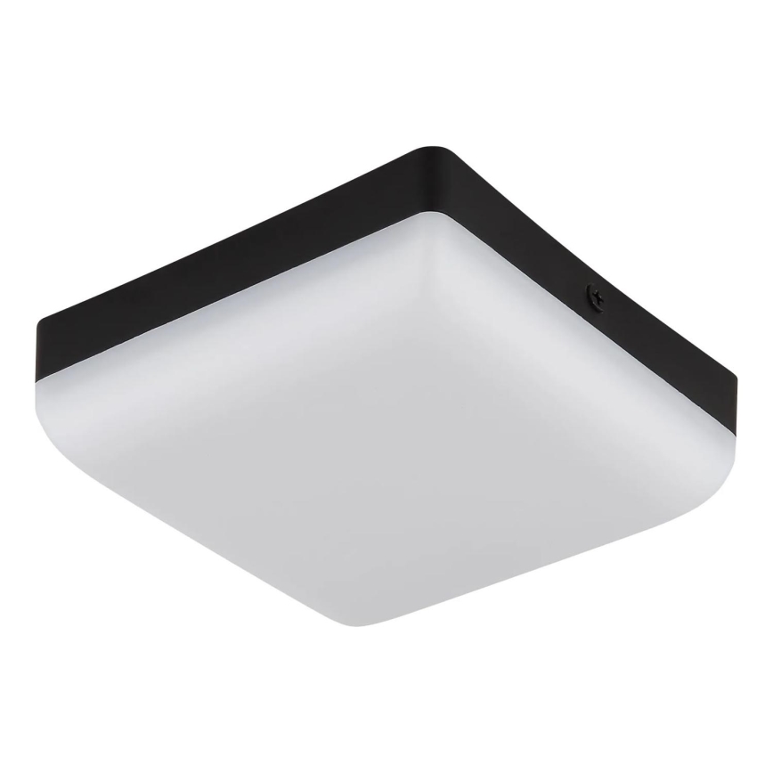Globo - LED-Deckenleuchte LED/8W/230V 4000K 12x12 cm schwarz
