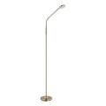 Globo - LED dimmbare Touch-Stehleuchte LED/6,5W/230V 2700/3350/4000K Messing