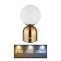 Globo - LED dimmbare Touch-Tischlampe LED/2,5W/3,7V 2700K/4000K/6500K 1800 mAh USB Messing