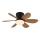 Globo - LED dimmbarer Deckenventilator LED/5W/230V 2700-6500K braun + Fernbedienung