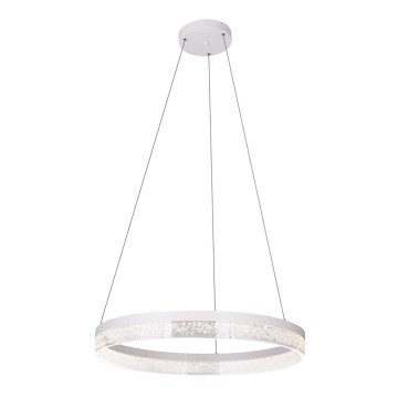Globo - LED-Kronleuchter an Schnur 1xLED/36W/230V