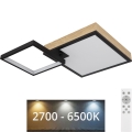 Globo - LED RGBW dimmbare Leuchte LED/21W/230V + LED/3W 2700-6500K + Fernbedienung