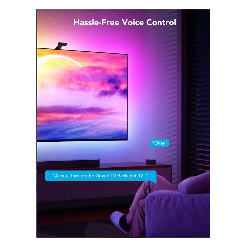 Govee - DreamView T2 DUAL TV 55-65 SMART LED Hintergrundbeleuchtung RGBIC Wi-Fi + Fernbedienung