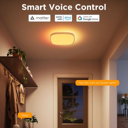 Govee - LED RGBIC Dimmbare Deckenleuchte LED/24W/230V 2700-6500K Wi-Fi 30x30 cm