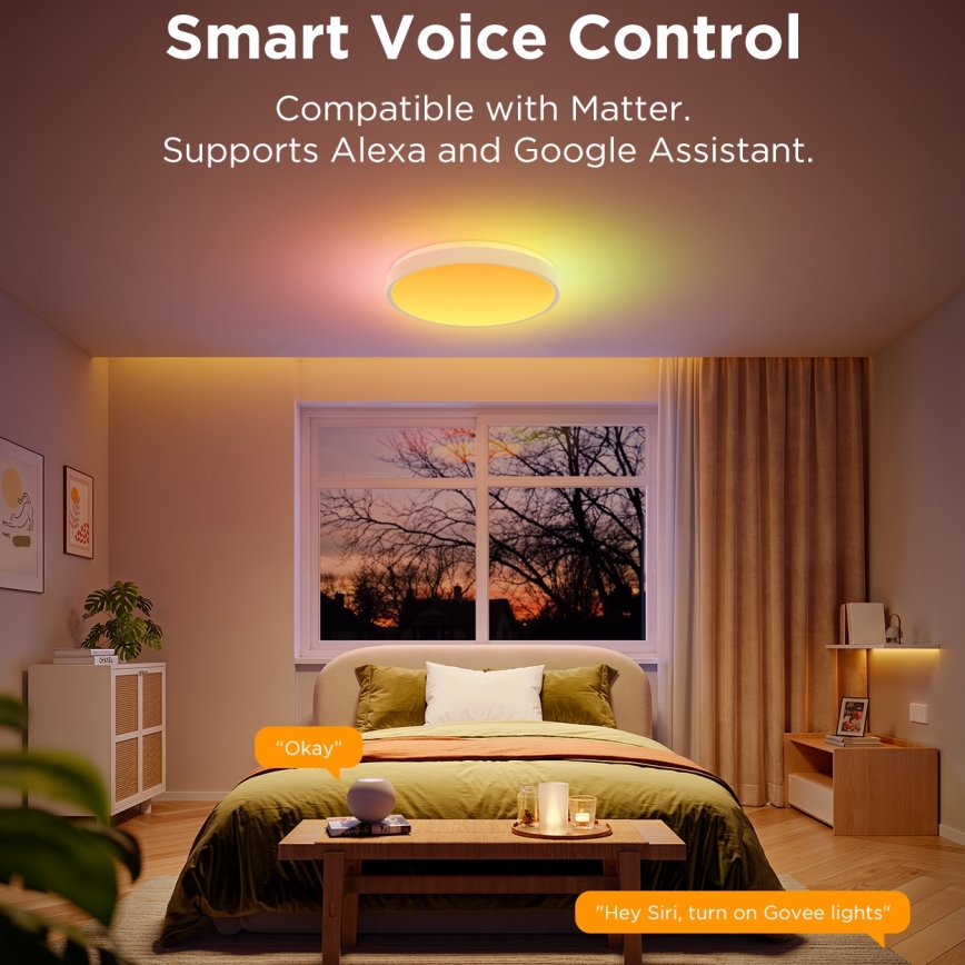 Govee - LED RGBIC Dimmbare Deckenleuchte LED/49W/230V 2700-6500K Wi-Fi d 38 cm