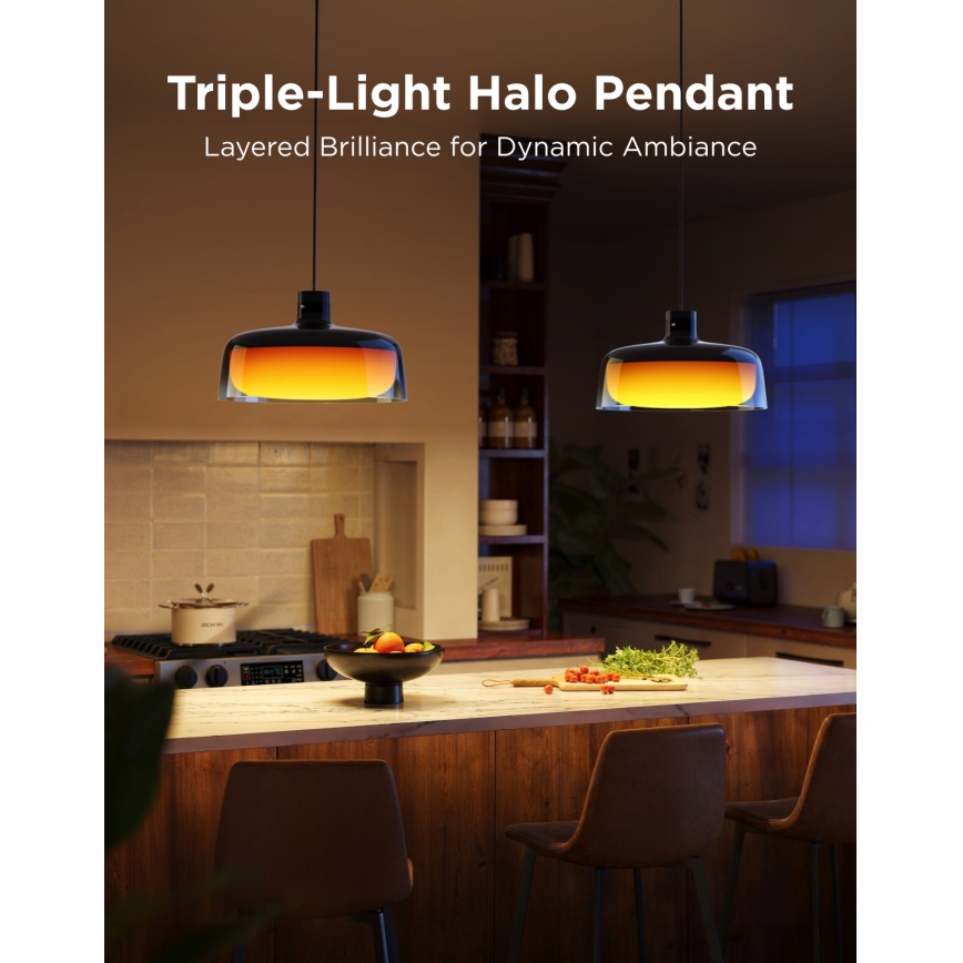 Govee - LED RGBICWW dimmbare Pendelleuchte mit Seilaufhängung LED/21W/230V Matter Wi-Fi