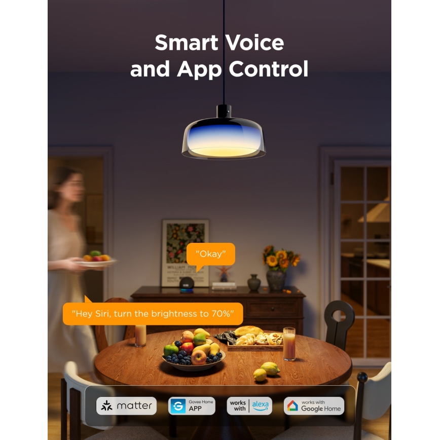 Govee - LED RGBICWW dimmbare Pendelleuchte mit Seilaufhängung LED/21W/230V Matter Wi-Fi