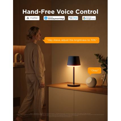 Govee - LED RGBICWW Dimmbare Tischlampe CLASSIC MATTER LED/10W/5V 4800mAh Wi-Fi