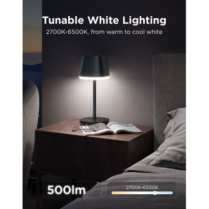 Govee - LED RGBICWW Dimmbare Tischlampe CLASSIC MATTER LED/10W/5V 4800mAh Wi-Fi