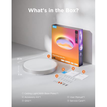 Govee - LED RGBICWW Dimmbare Deckenleuchte LED/55W/230V Ø 53 cm Matter Wi-Fi