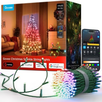 Govee - LED RGBWIC Außen-Weihnachts-Lichterkette 2700-6500K 30m Wi-Fi Matter IP65